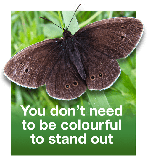 You don't need to be colourful to stand out. - Gordon Lang Web Design